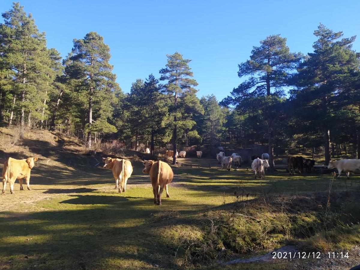 Puerta Del Maestrazgo Guest House Monteagudo del Castillo ภายนอก รูปภาพ